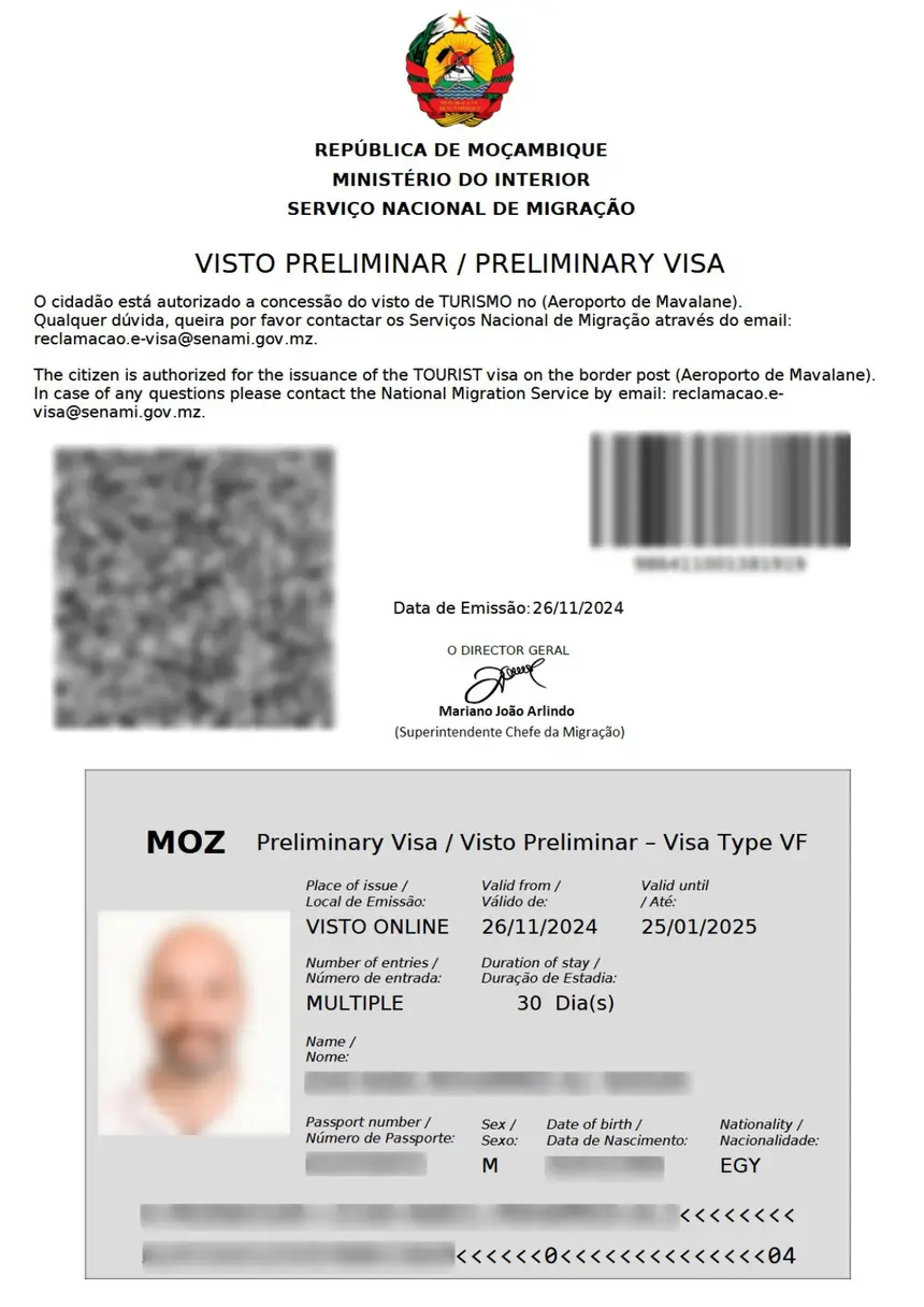 Mozambique eVisa sample